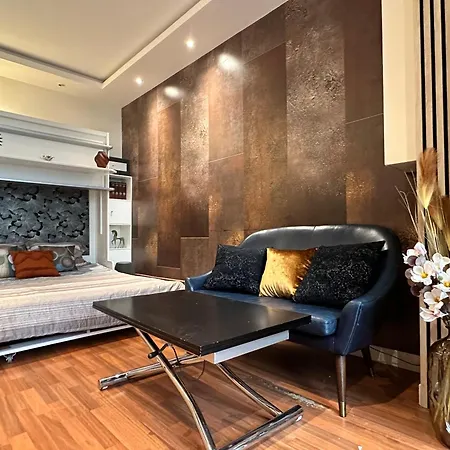 Studios Top Location For Louvre, Place Vendome, Champs-Elysees Metro 1, 8, 12 Paris